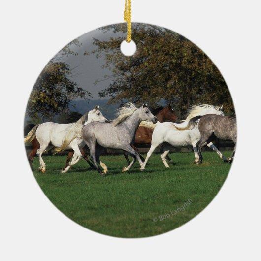 Arabieren die in het veld lopen keramisch ornament (Achterkant)