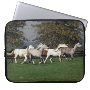 Arabieren die in het veld lopen laptop sleeve