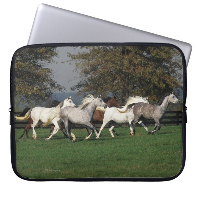 Arabieren die in het veld lopen laptop sleeve (Voorkant)