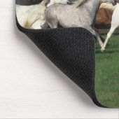 Arabieren die in het veld lopen muismat (Hoek)