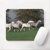 Arabieren die in het veld lopen muismat (Met muis)