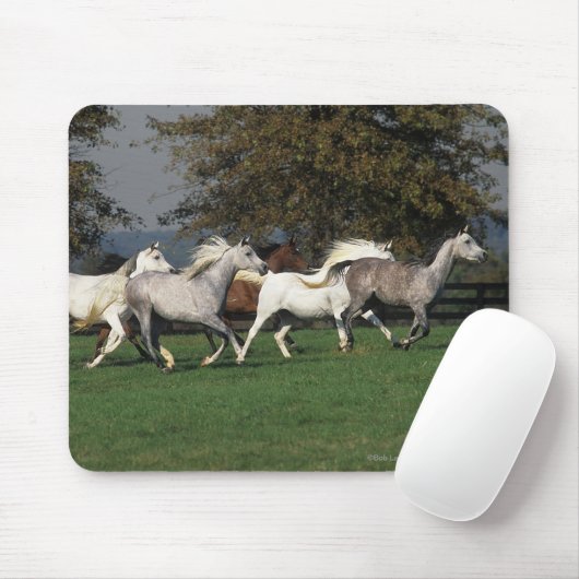 Arabieren die in het veld lopen muismat (Met muis)