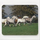 Arabieren die in het veld lopen muismat (Voorkant)