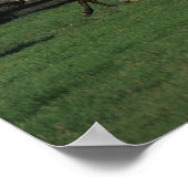 Arabieren die in het veld lopen poster (Hoek)