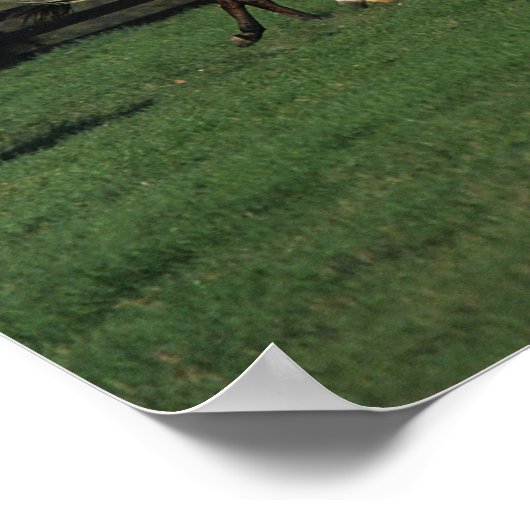 Arabieren die in het veld lopen poster (Hoek)