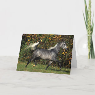 Arabieren die lopen: De herfst Kaart