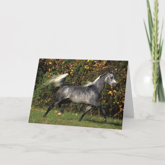 Arabieren die lopen: De herfst Kaart (Voorkant)