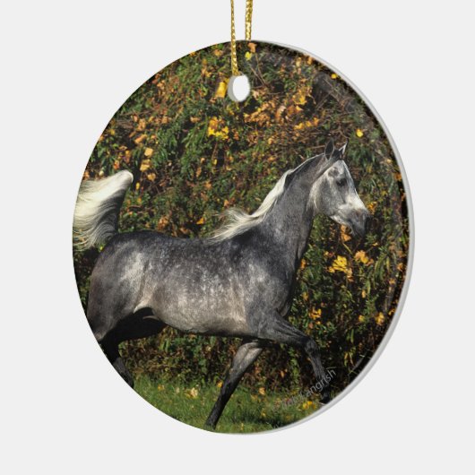 Arabieren die lopen: herfst keramisch ornament (Links)