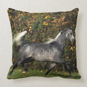 Arabieren die lopen: herfst kussen