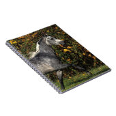 Arabieren die lopen: herfst notitieboek (Rechterzijde)