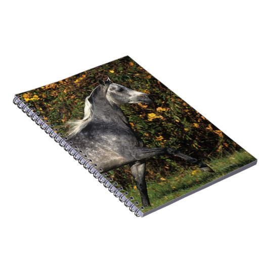 Arabieren die lopen: herfst notitieboek (Rechterzijde)