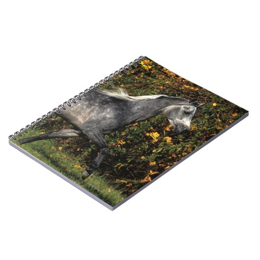 Arabieren die lopen: herfst notitieboek (Linkerzijde)