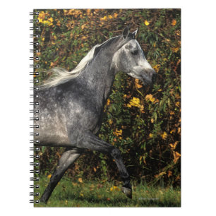 Arabieren die lopen: herfst notitieboek