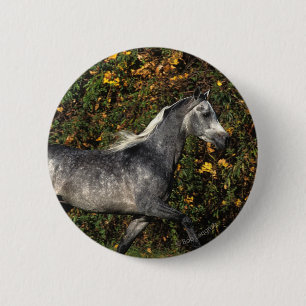 Arabieren die lopen: herfst ronde button 5,7 cm