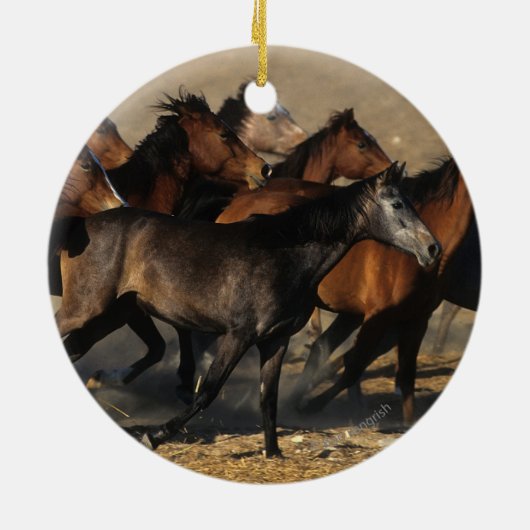 Arabieren in de woestijn keramisch ornament (Achterkant)