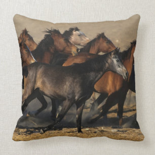 Arabieren in de woestijn kussen