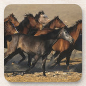 Arabieren in de woestijn onderzetter (Voorkant)