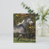 Arabieren lopen najaar briefkaart (Staand voorkant)