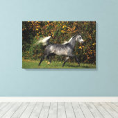 Arabieren lopen najaar canvas afdruk (Insitu (Houten vloer))