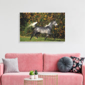 Arabieren lopen najaar canvas afdruk (Insitu (Woonkamer))