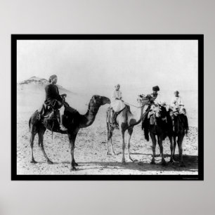 Arabieren op kamelen in de Sahara in 1914 Poster
