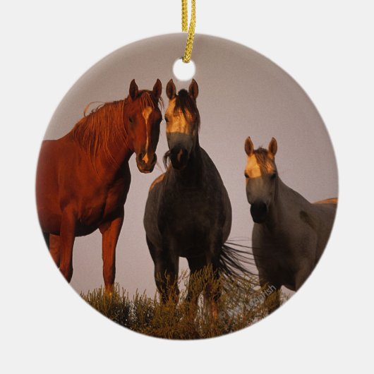 Arabieren op zonsondergang keramisch ornament (Voorkant)