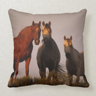 Arabieren op zonsondergang kussen