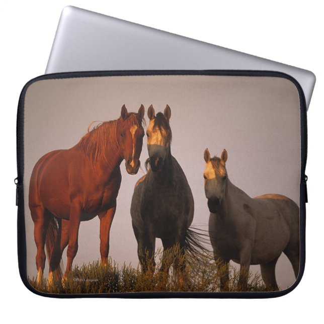 Arabieren op zonsondergang laptop sleeve (Voorkant)