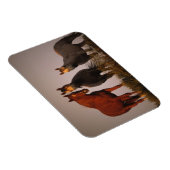 Arabieren op zonsondergang magneet (Rechterzijde)