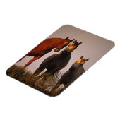 Arabieren op zonsondergang magneet (Linkerzijde)