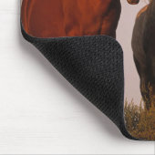 Arabieren op zonsondergang muismat (Hoek)