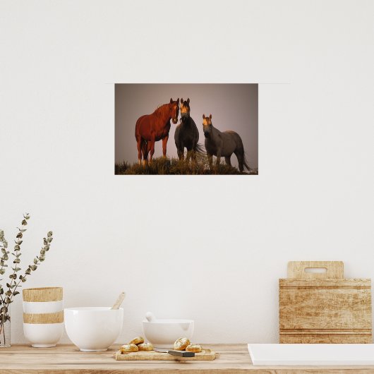 Arabieren op zonsondergang poster (Keuken)