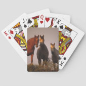 Arabieren op zonsondergang speelkaarten (Achterkant)