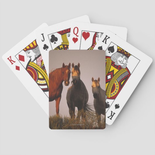 Arabieren op zonsondergang speelkaarten (Achterkant)