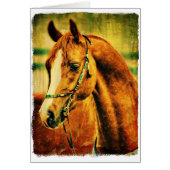 -Arabisch (Voorkant)