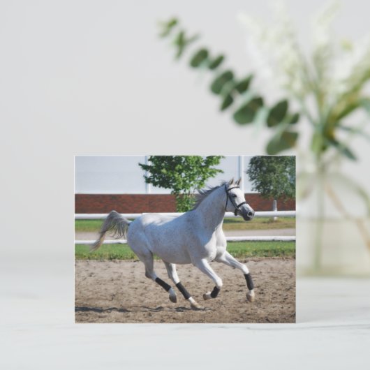 Arabisch 1 briefkaart (Staand voorkant)