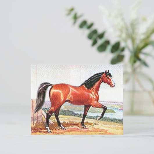 Arabisch Bay Paard  Waterverf Fine Art Briefkaart (Staand voorkant)