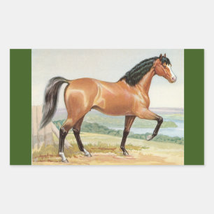 Arabisch Bay Paard Waterverf Fine Art Rechthoekige Sticker