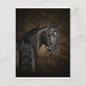 Arabisch Briefkaart (Voorkant)