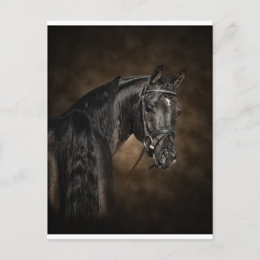 Arabisch Briefkaart (Voorkant)