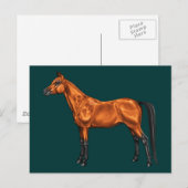 Arabisch Briefkaart (Voorkant / Achterkant)