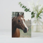 Arabisch in pasta briefkaart (Staand voorkant)