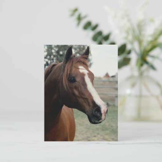 Arabisch in pasta briefkaart (Staand voorkant)