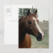 Arabisch in pasta briefkaart (Voorkant / Achterkant)