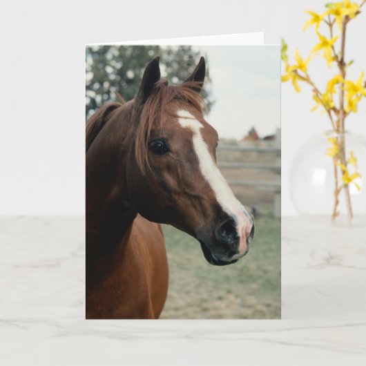 Arabisch in pasta kaart (Gele Bloem)