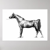 Arabisch in pen en inkt poster (Voorkant)