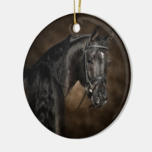 Arabisch Keramisch Ornament (Links)