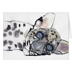 Arabisch luipaard 2008 3