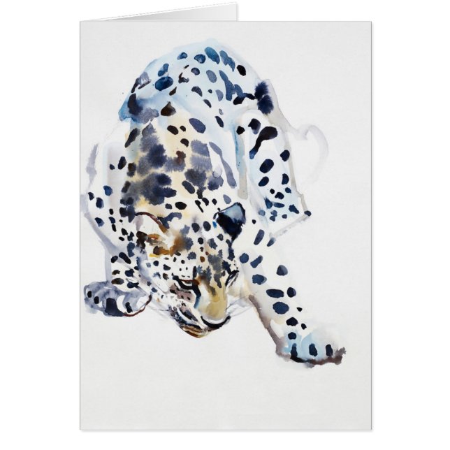 Arabisch luipaard 2008 5 (Voorkant)