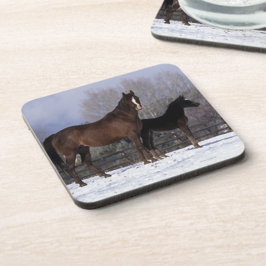 Arabisch Mare & Foal in sneeuw Bier Onderzetter (Linkerzijde)